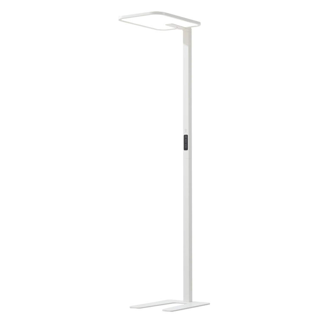Smart Floor Lamp
