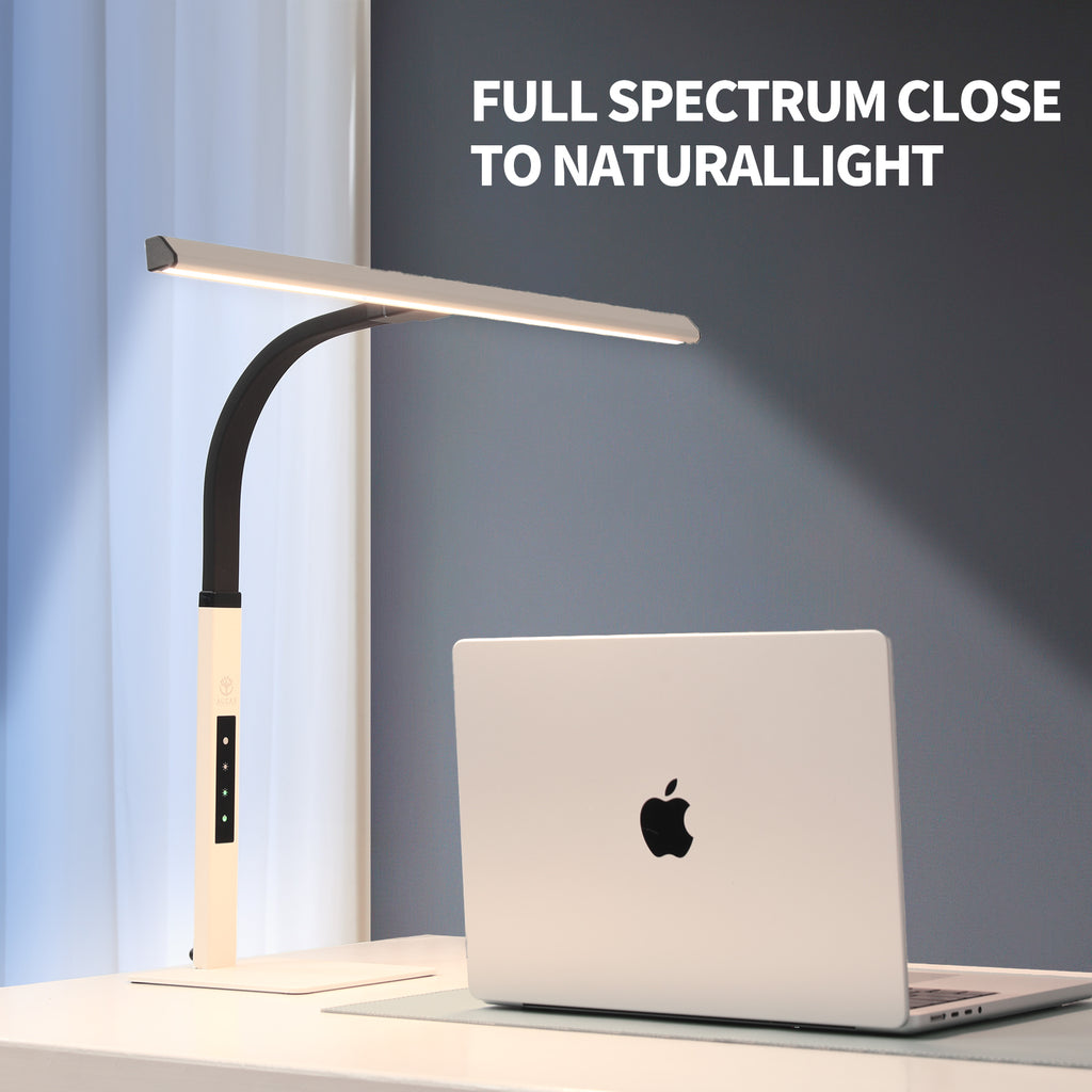 Smart  Desk Lamp